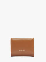 Leather Tradition Coin Purse S Etrier Brown tradition ETRA095S