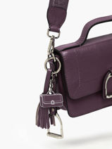 Bag Handle Etrier Violet altesse EALT405M-vue-porte
